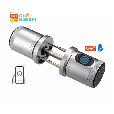 Glomarket New Style Tuya App Control Smart Lock Porta impressão digital senha Casa Hotel Apartamento Eletrônico Smart Door Knob Lock