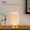 Lanterna inteligente Candeeiro de mesa decorativo Tuya APP Alexa Google Smart WiFi LED luz