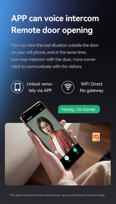 Glomarket Tuya Wifi Smart Lock Alumínio Porta de Madeira Reconhecimento Facial Impressão da Palma Impressão Biométrica Digital Smart Lock