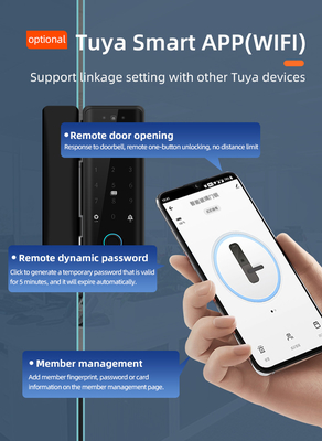 Glomarket Tuya Smart 3d Face Recognition Wifi Glass Door Lock Cartão de senha impressão digital fechadura de porta eletrônica de vidro para escritório
