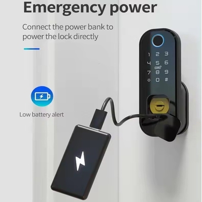 Glomarket Smart Home Waterproof Smart Electric Rim Lock com Tuya APP Control WIFI Portão de porta exterior Smart Lock impressão digital