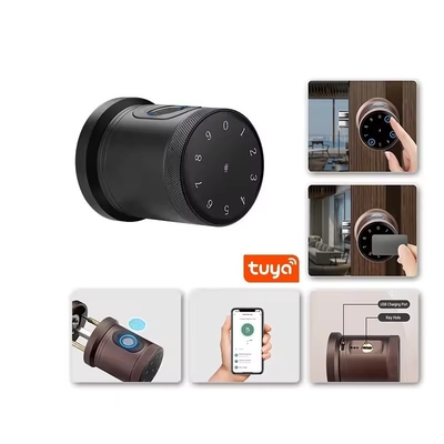 Glomarket New Style Tuya App Control Smart Lock Porta impressão digital senha Casa Hotel Apartamento Eletrônico Smart Door Knob Lock