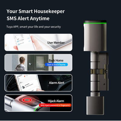 Glomarket Home Smart Door Lock Ttlock Smart Fingerprint Card Key Desbloqueio Ajustável de cilindro Euro Smart Lock Tuya App Door Lock