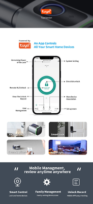 Glomarket Home Smart Door Lock Ttlock Smart Fingerprint Card Key Desbloqueio Ajustável de cilindro Euro Smart Lock Tuya App Door Lock