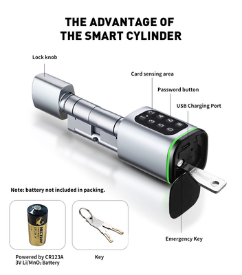 Glomarket Tuya Ttlock Smart Digital Keyless Door Lock Cylinder Combinação Password &amp; Card Bloqueio Eletrônico Cylinders Smart Lock