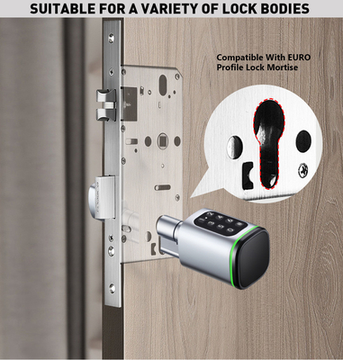 Glomarket Tuya Ttlock Smart Digital Keyless Door Lock Cylinder Combinação Password &amp; Card Bloqueio Eletrônico Cylinders Smart Lock
