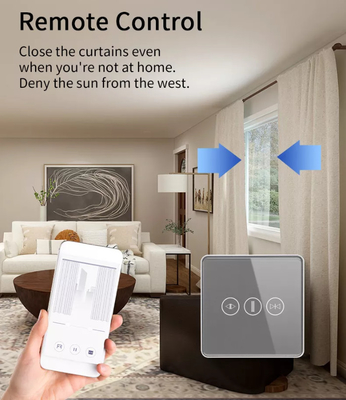 Smart Curtain Switch Wifi/Zigbee Voice Control Google Assistant Smart EU Standard Touch Screen Switch APP Switch de porta de garagem